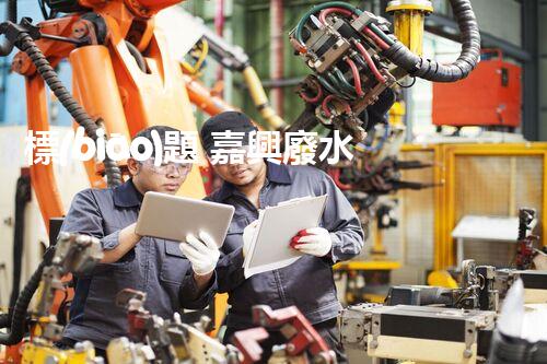 標(biāo)題 嘉興廢水處理廠家：解密行業(yè)隱形冠軍？